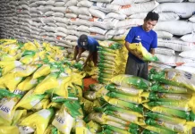 Harga Beras Alami Deflasi, Turun Dua Bulan