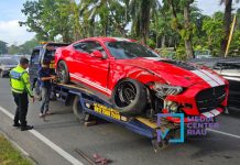 Belajar Nyetir, Mobil Mewah Ford Mustang Ringsek Tabrak Pohon