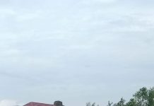 Dukung Ketahanan Pangan, Polsek Pelabuhan Tanam Pak Coy