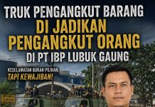 Diduga Langgar Aturan, PT IBP Angkut Pekerja Pakai Truk Barang