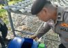 Dukung Ketahanan Pangan, Polsek Kawasan Pelabuhan Dumai Intensif Kembangkan Pakcoi Hidroponik