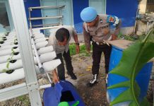 Dukung Program Pemerintah, Polsek KSKP Dumai Kembangkan Hidroponik Pakcoy